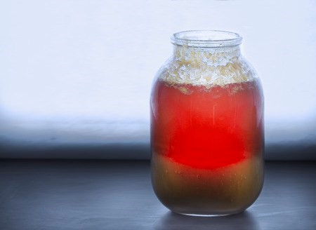  Raw Honey Good For Dogs Rock Island TN